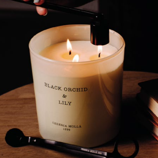 Vela XL 600 gr Black Orchid & Lily