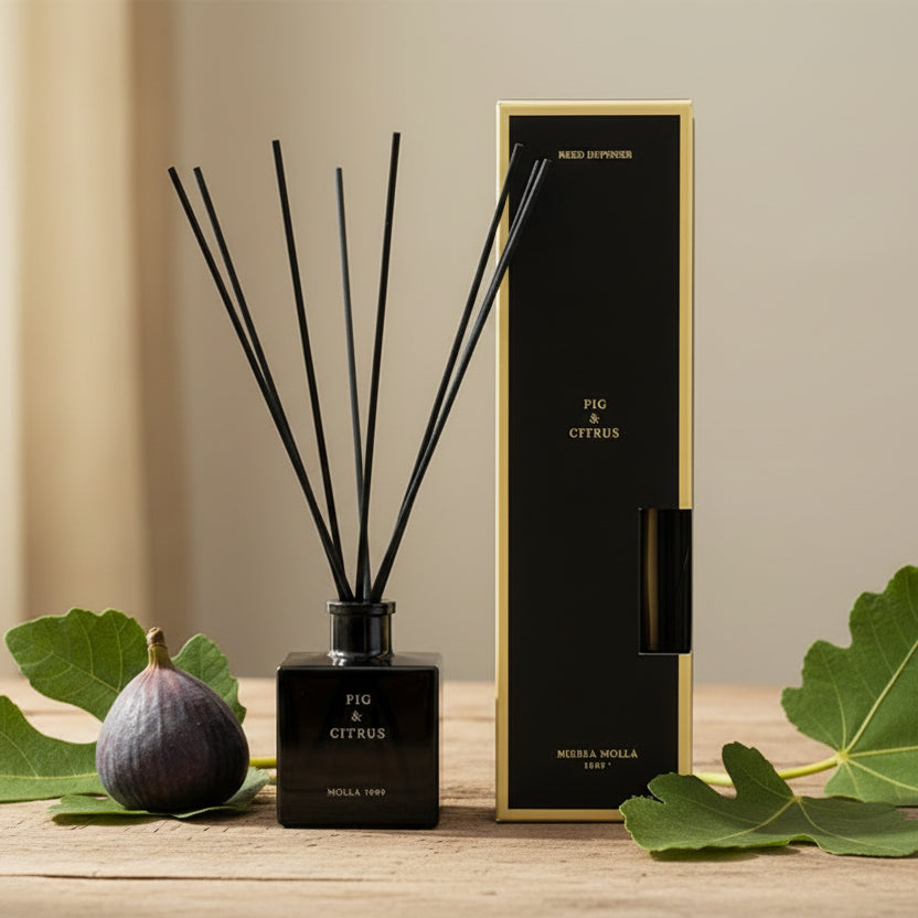 Difusor Aroma Fig & Citrus 100 ml - Casa/Bougie