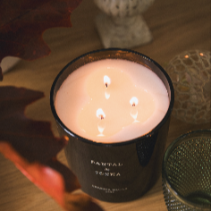 Vela XL 600 gr Santal & Tonka