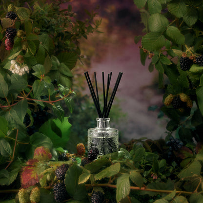 Difusor Aroma Foraged Wildberry 100 ml