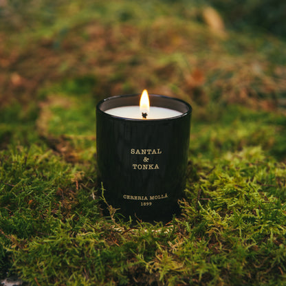 Vela 230 gr Santal & Tonka