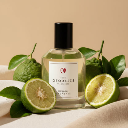 Room Spray Bergamot 100ml - Casa/Bougie