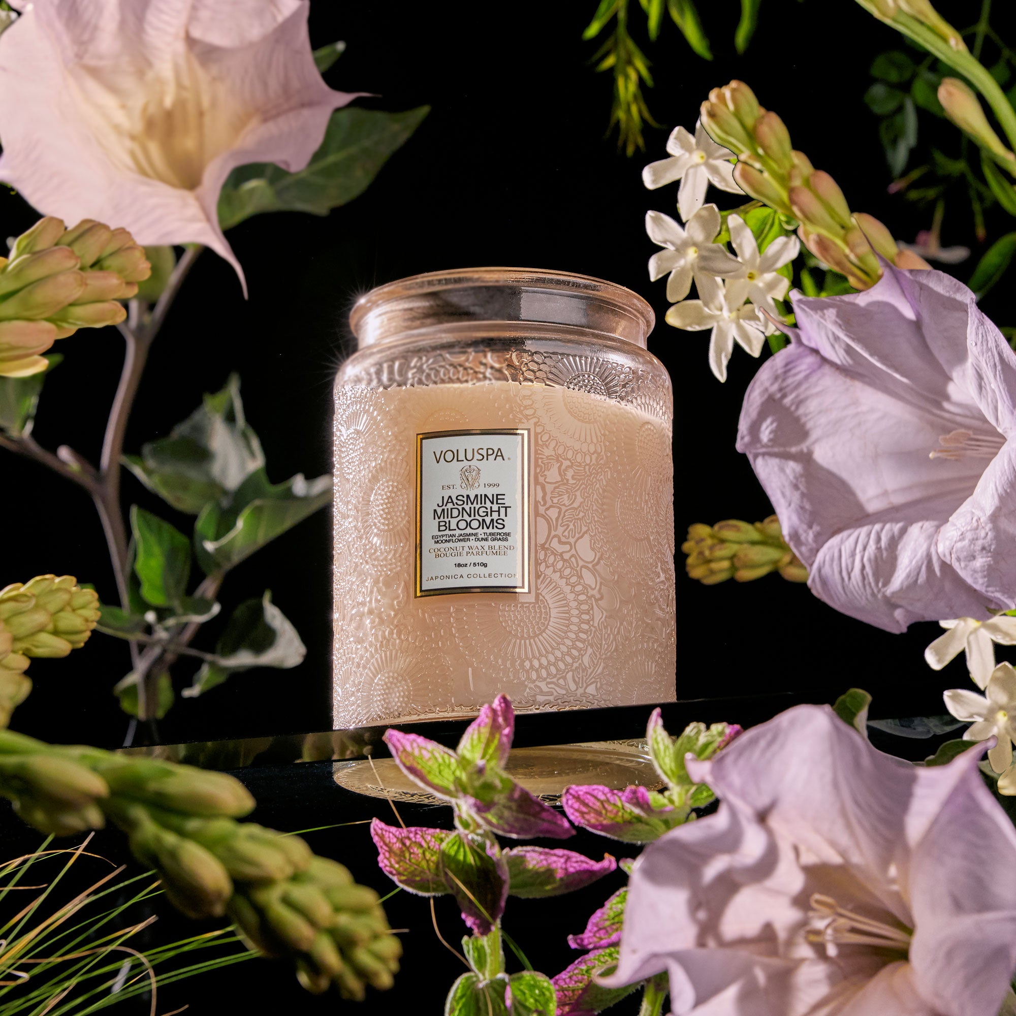 Vela Jar 510 gr Jasmine Midnight Blooms - Casa/Bougie