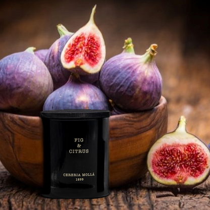 Vela 230 gr Fig & Citrus