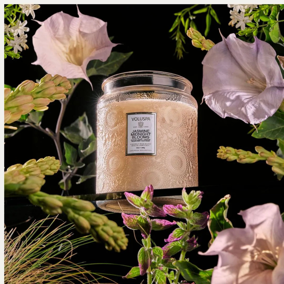 Vela Luxe 1,2 kg Jasmine Midnight Blooms - Casa/Bougie